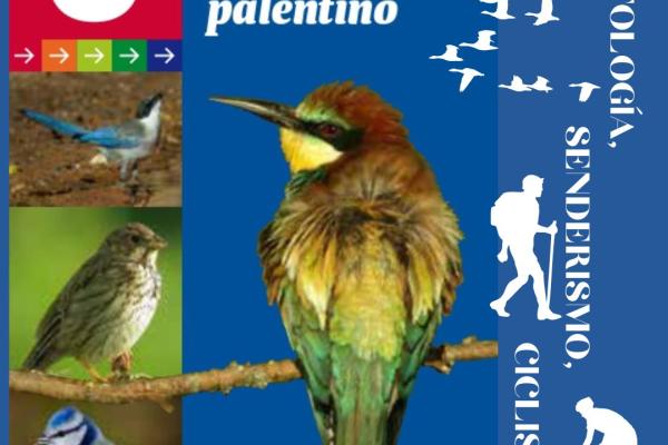 Rutas ornitológicas por el Cerrato Palentino