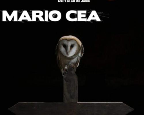 Exposición Fotográfica Animales Salvajes - Magaz de Pisuerga