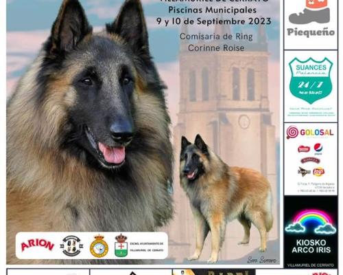 III Especial de Cría de Pastores Belgas - Villamuriel de Cerrato