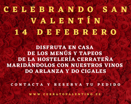 CELEBRANDO SAN VALENTÍN