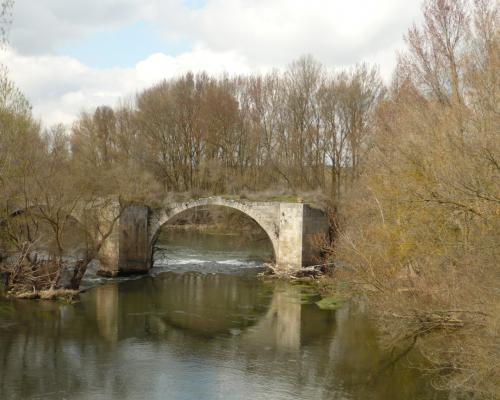Reinoso de Cerrato