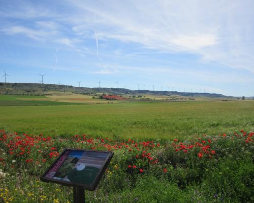 Dehesa de Tablada (Villaviudas)