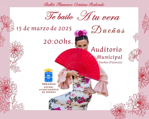 Ballet Flamenco en Dueñas