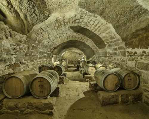 BODEGAS DEL CERRATO