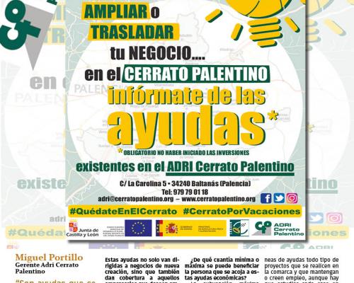 AYUDAS A EMPRESAS