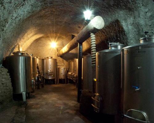 BODEGA ESTEBAN ARAUJO