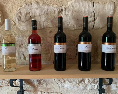BODEGAS REMIGIO SALAS JALÓN 