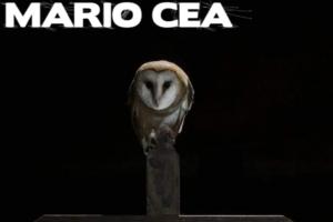 Exposición Fotográfica Animales Salvajes - Magaz de Pisuerga0