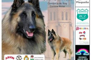 III Especial de Cría de Pastores Belgas - Villamuriel de Cerrato0