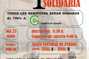 Carrera de Galgos Solidaria - Dueñas0