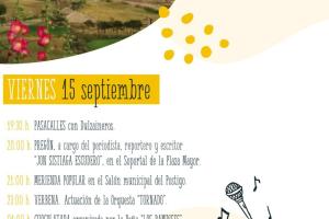 Fiestas de Santo Cristo del Consuelo - Vertavillo2