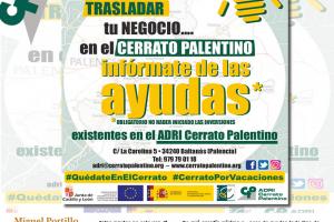 AYUDAS A EMPRESAS0