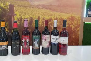 FERIA DE FINE- WINE TOURISM EXPO2