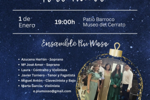 Programa Navideño - Baltanás6