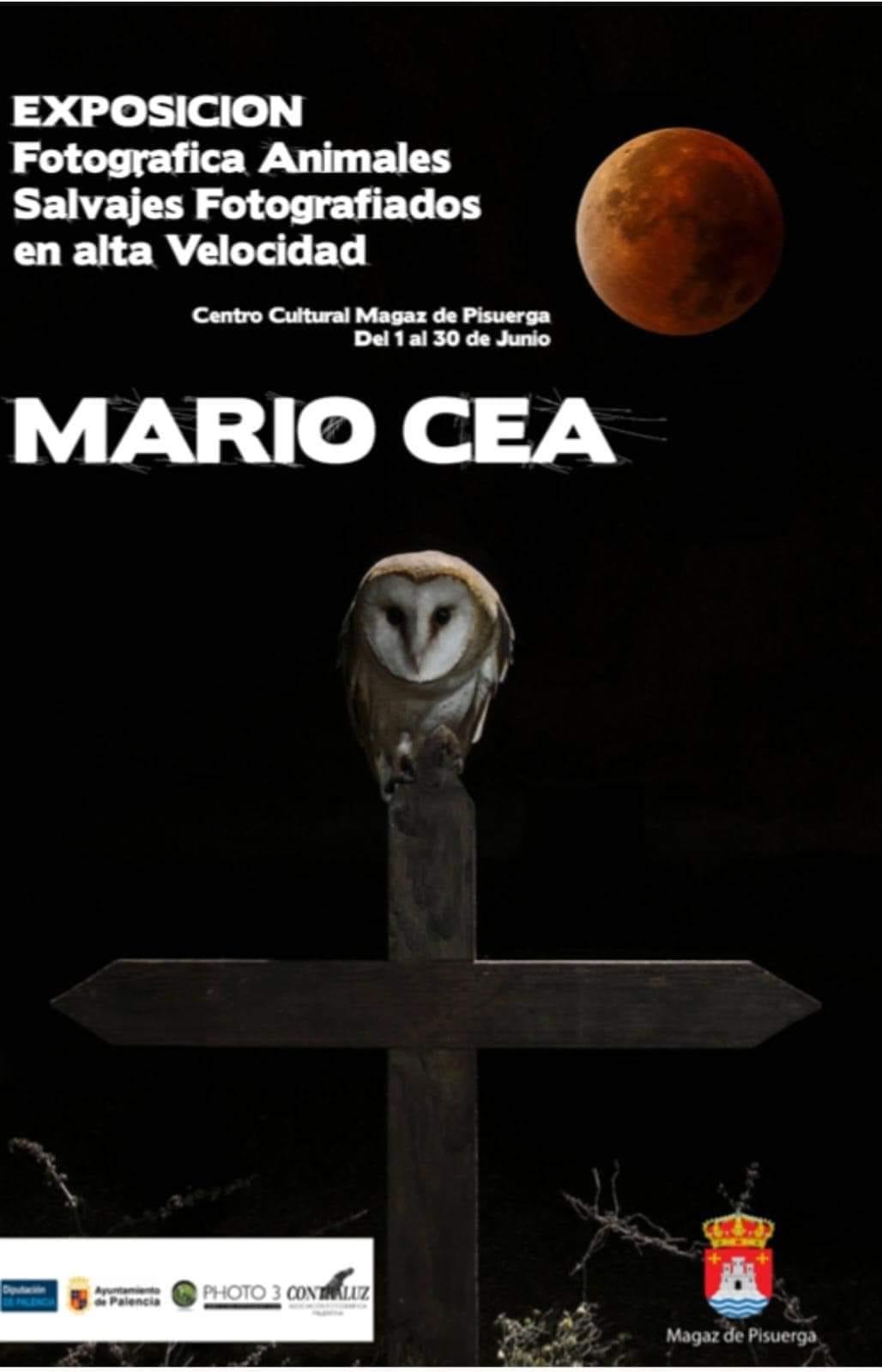 Exposición Fotográfica Animales Salvajes - Magaz de Pisuerga0