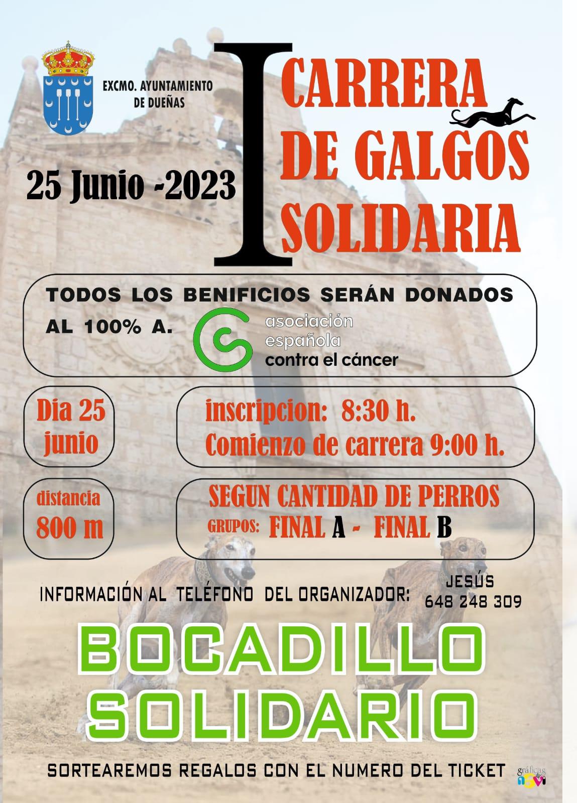 Carrera de Galgos Solidaria - Dueñas0