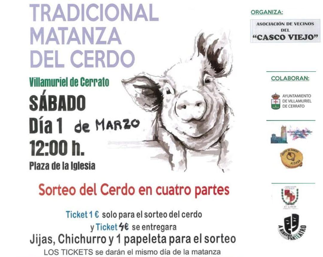 Carnaval de Villamuriel de Cerrato3