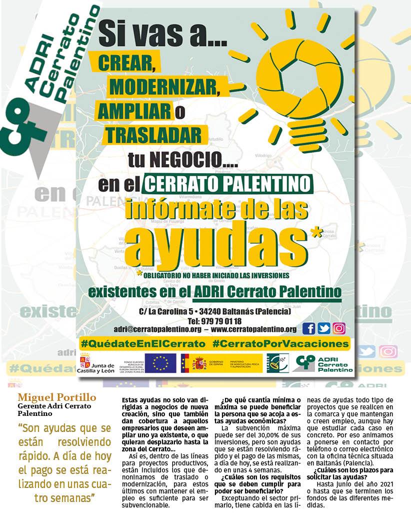 AYUDAS A EMPRESAS0