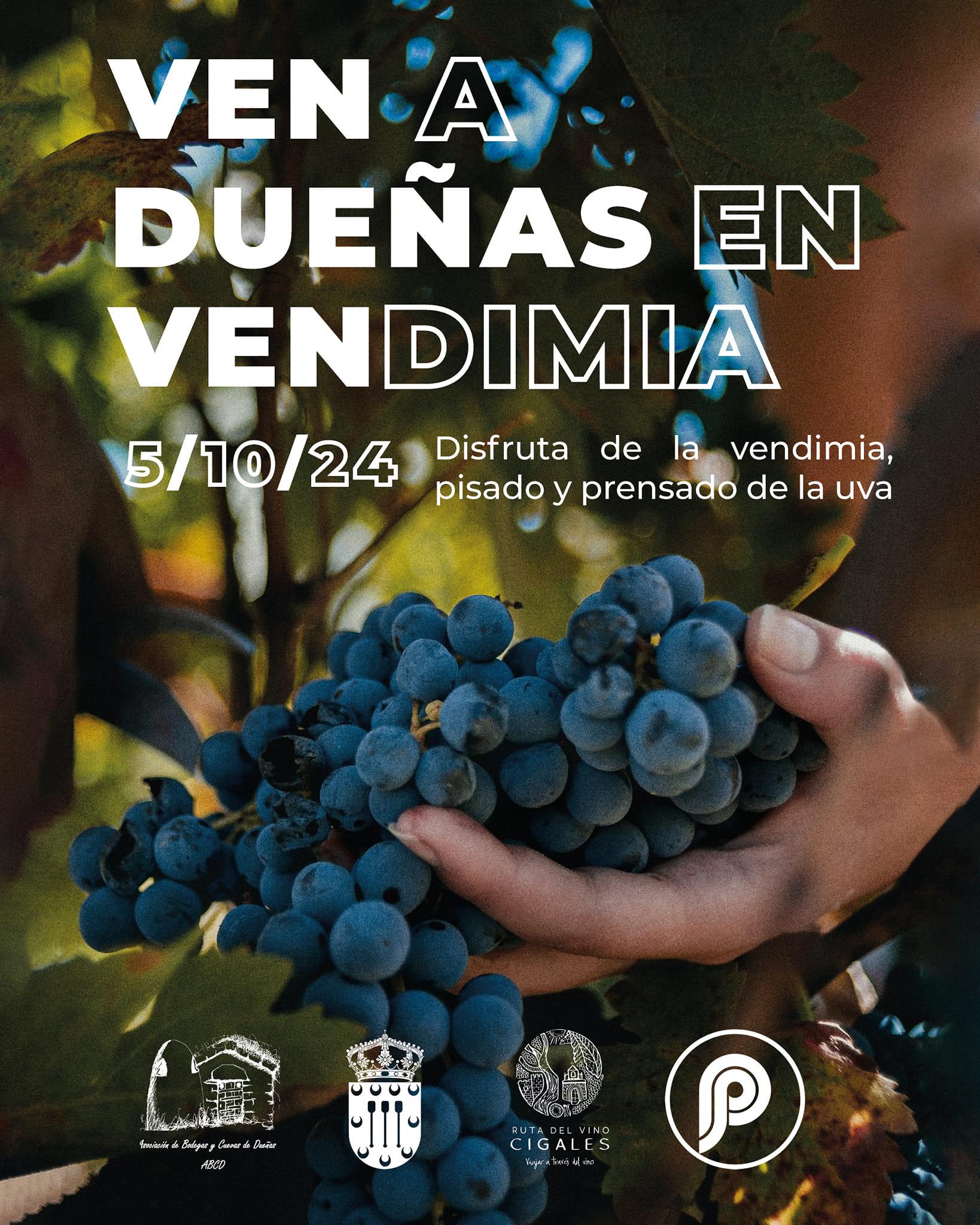 Ven a Dueñas en Vendimia - Dueñas0