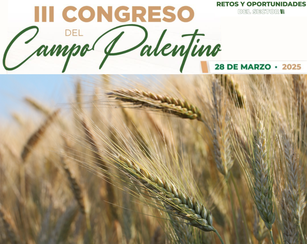 III Congreso del Campo Palentino - Torquemada0